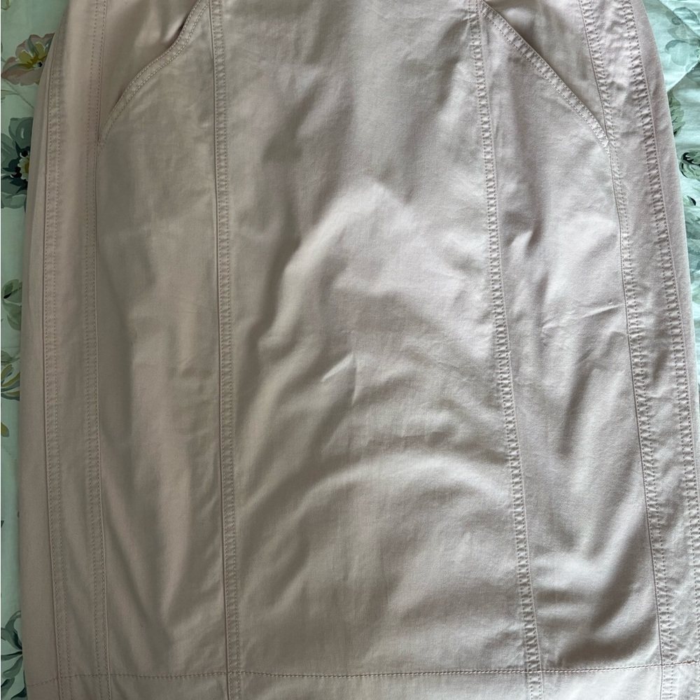 Ann Taylor Light Pink Midi Skirt